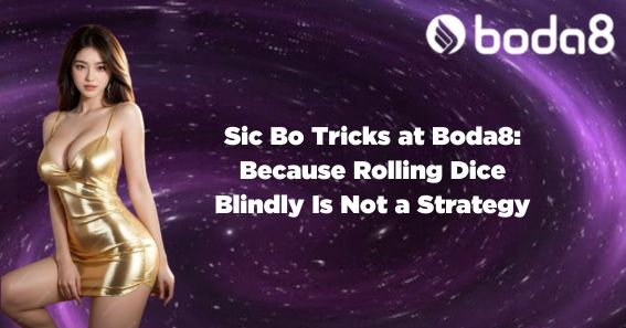 Sic Bo Tricks at Boda8: Because Rolling Dice Blindly Is Not a Strategy